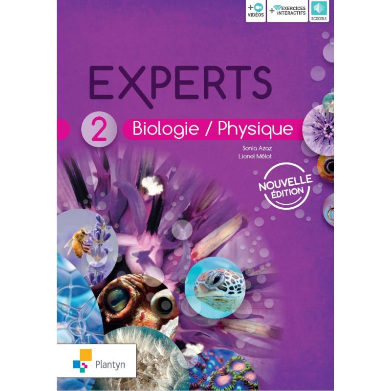 Experts 2 - Nouvelle version (+ Scoodle)